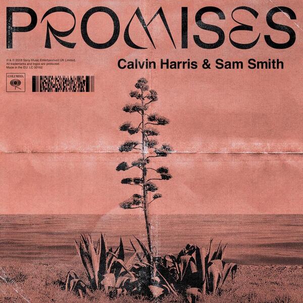 PROMISES